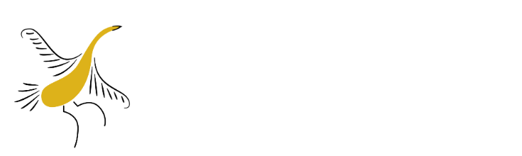 reiki meditation for healing